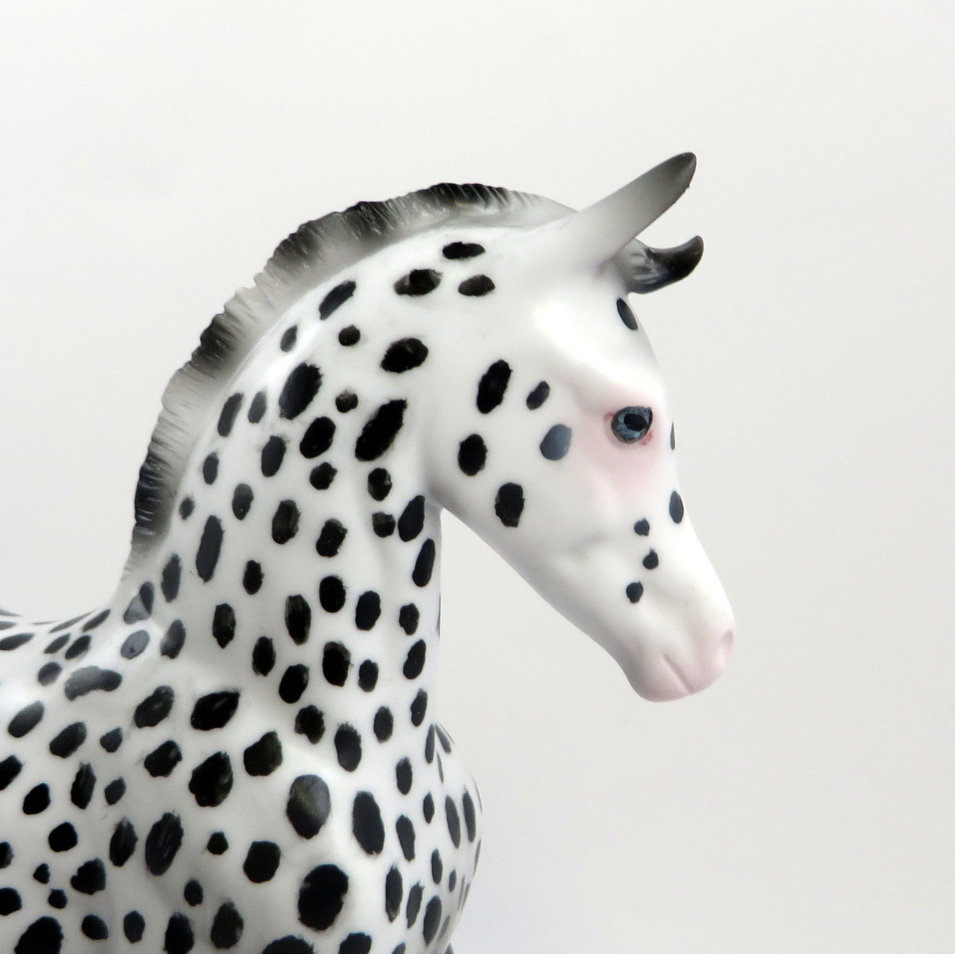AMICE-OOAK LOUD APPALOOSA  ARABIAN FOAL MODEL HORSE EQ 19