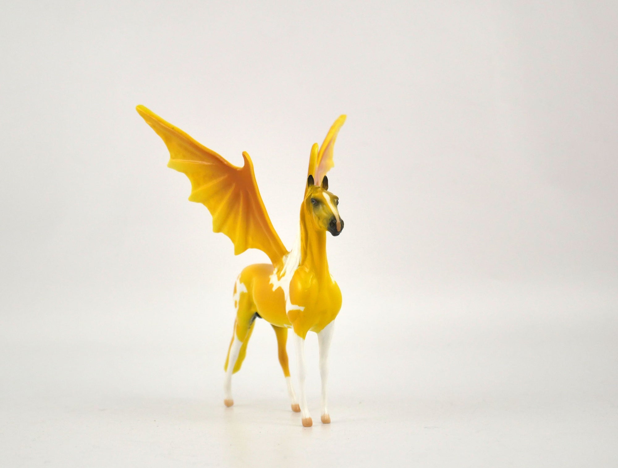 Ammar-OOAK Morgan Chip By Audrey Dixon MM 2020