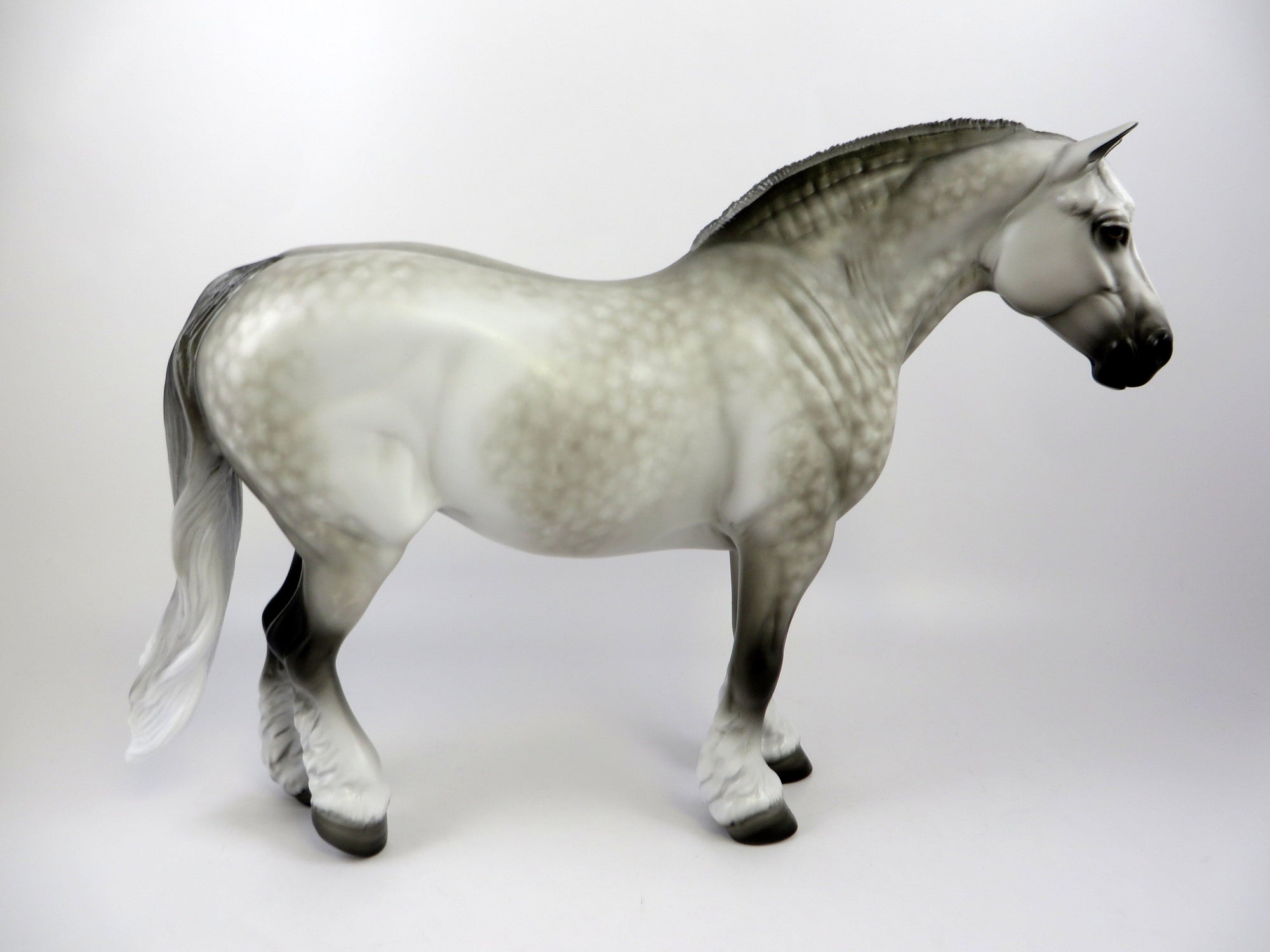 dapple grey heavy draft