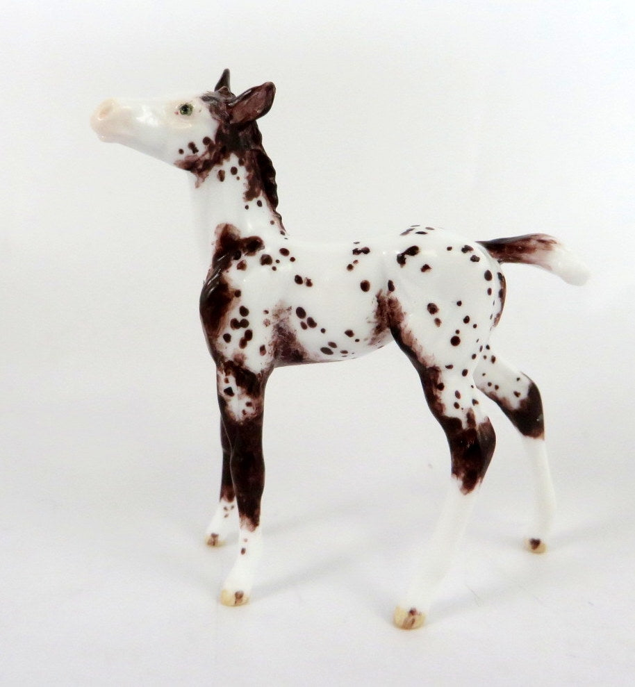 ANDREWS - OOAK BAY APPY FOAL CHIP BY ANDREA THOMASON WHS 19