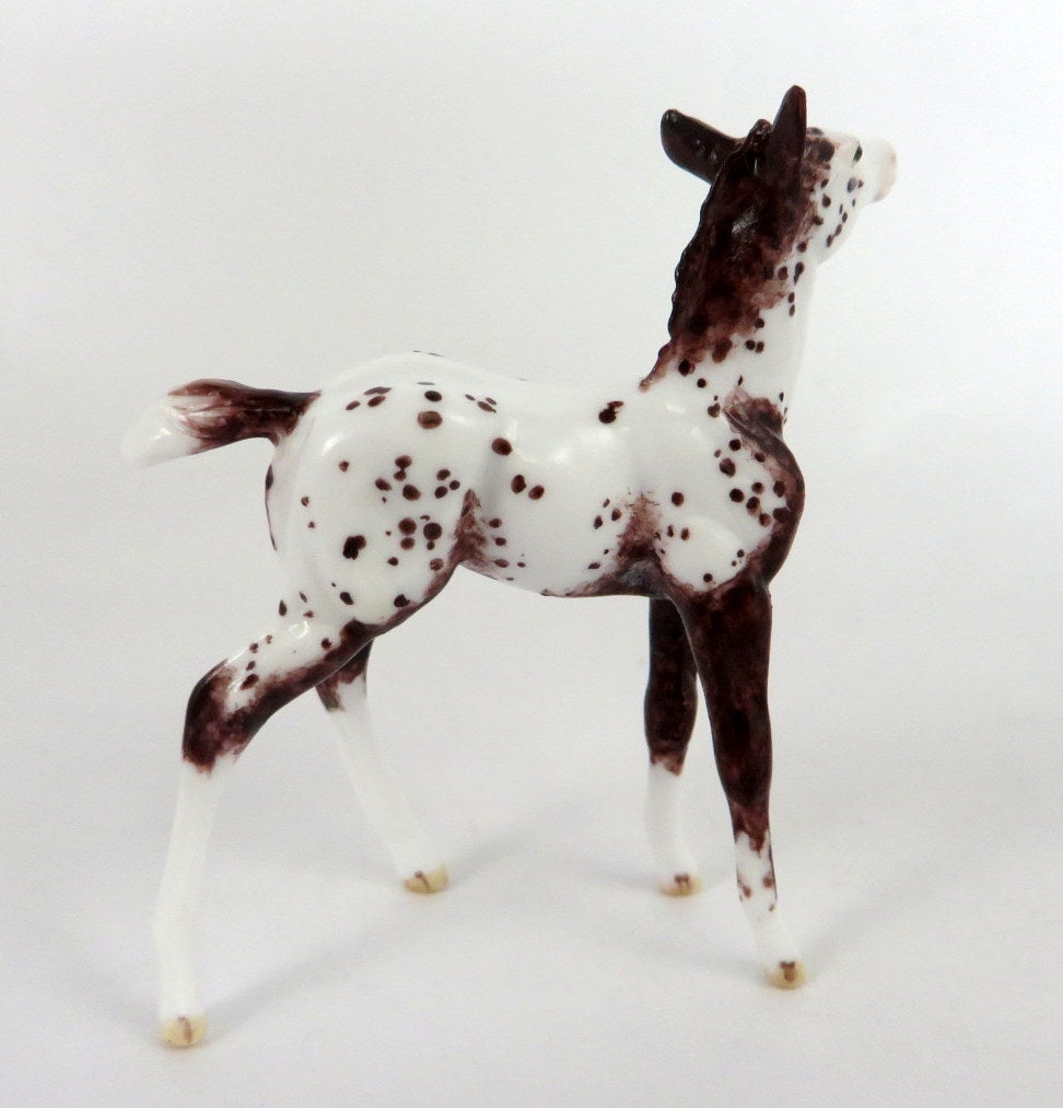ANDREWS - OOAK BAY APPY FOAL CHIP BY ANDREA THOMASON WHS 19