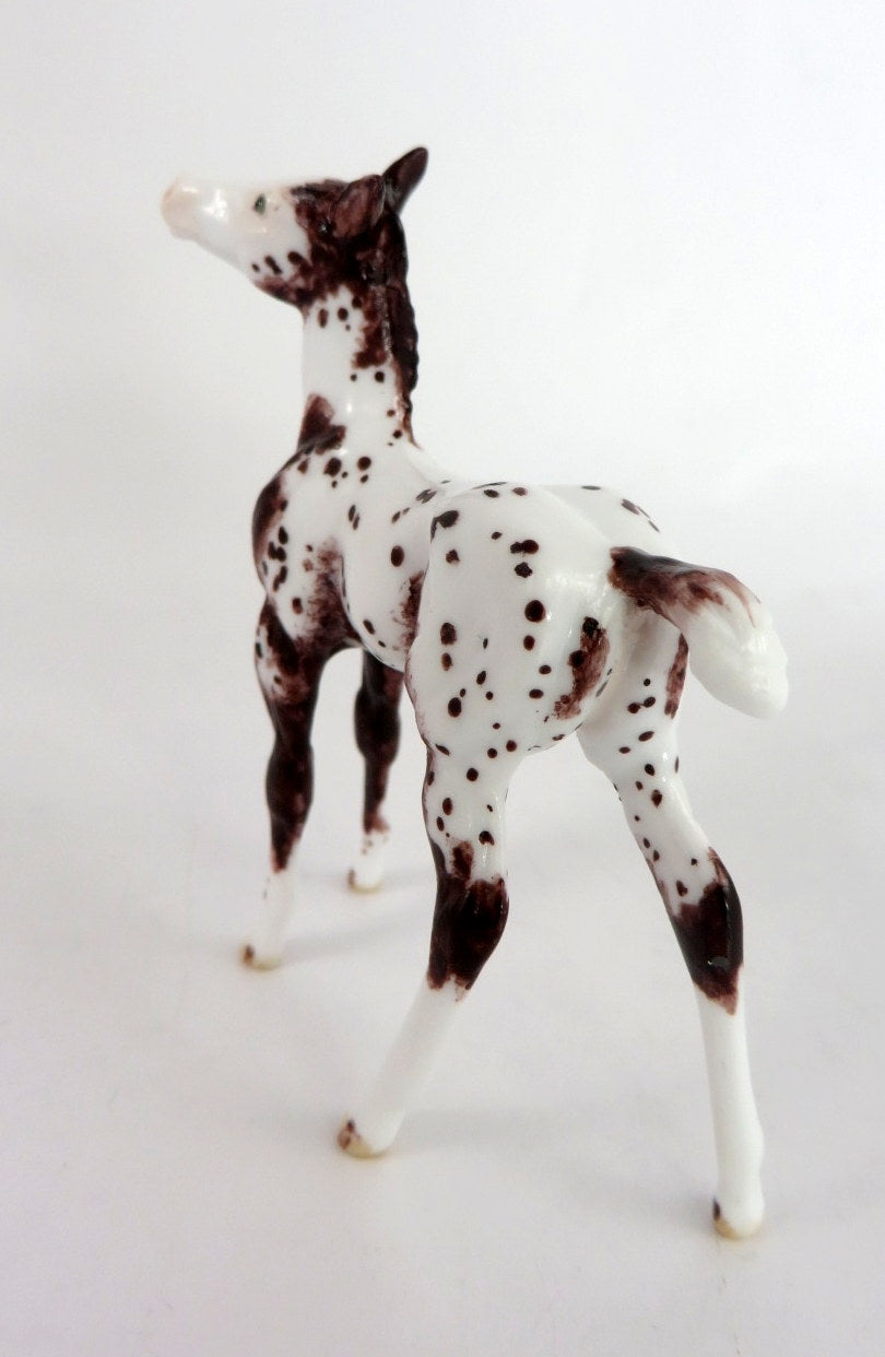 ANDREWS - OOAK BAY APPY FOAL CHIP BY ANDREA THOMASON WHS 19