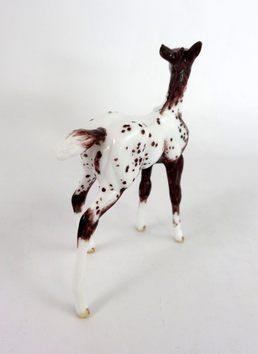 ANDREWS - OOAK BAY APPY FOAL CHIP BY ANDREA THOMASON WHS 19