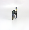 DOUBLOON - OOAK MARDI GRAS DECORATOR ANDALUSIAN CHIP BLACK PINTO MODEL HORSE BY AMANDA HOSTETLER 3-5-19