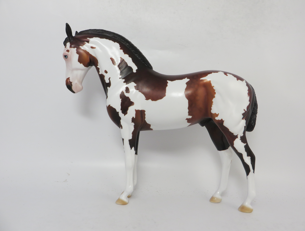 dapple bay pinto andalusian