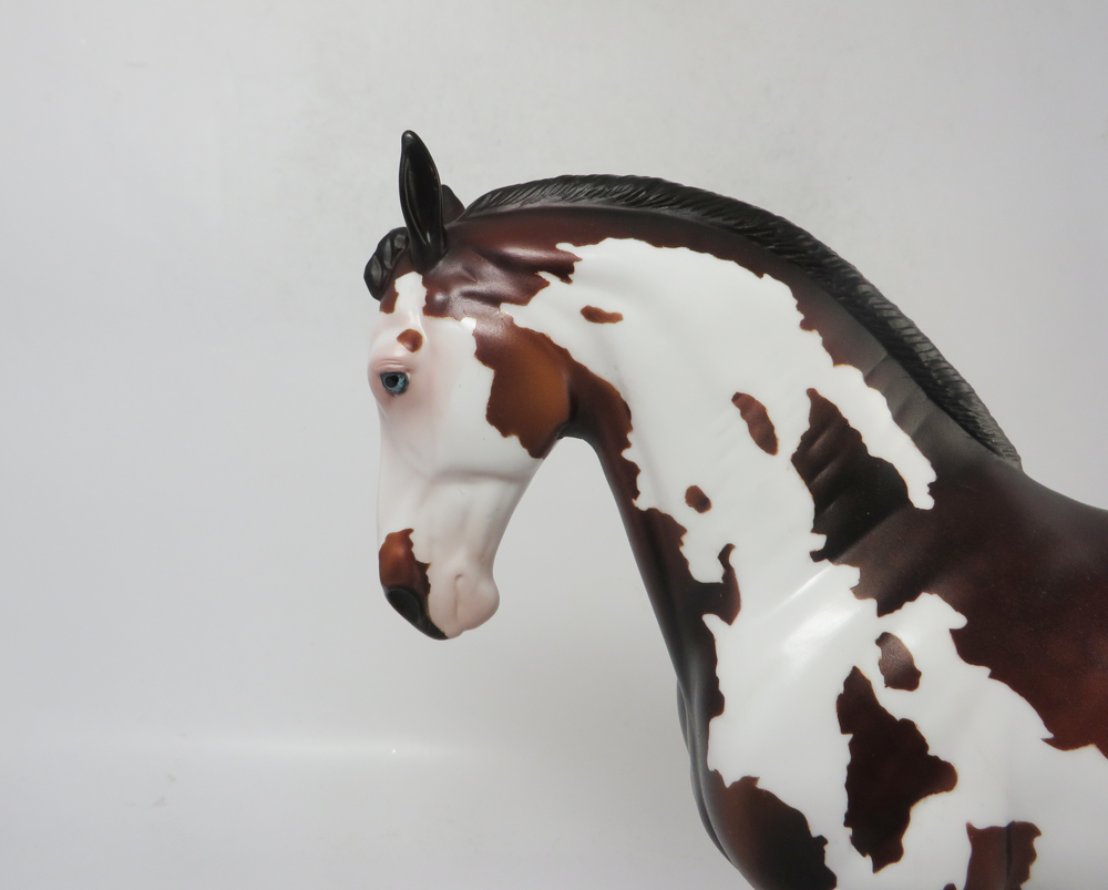 KISS ME AGAIN-OOAK- DAPPLE BAY PINTO CUSTOM ANDALUSIAN BY DAWN QUICK - SB19