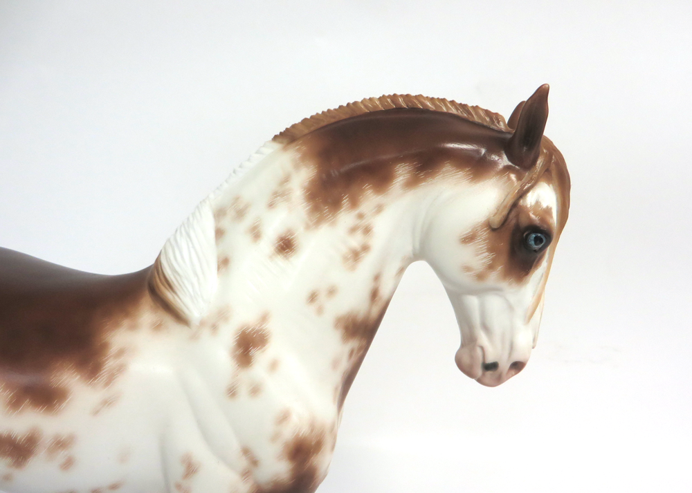 TRESURE ISLAND- OOAK RED SABINO ANDY BY SHERYL LEISURE 3-15-19