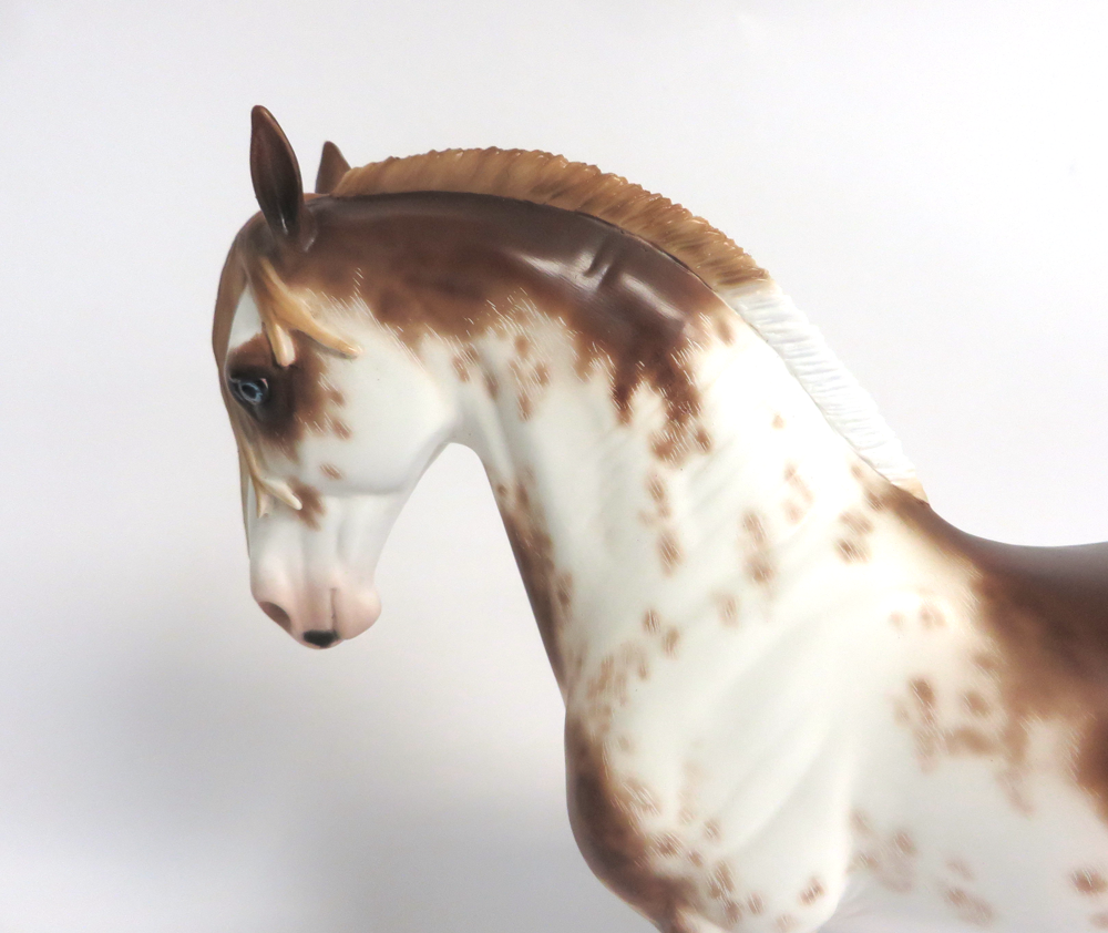 TRESURE ISLAND- OOAK RED SABINO ANDY BY SHERYL LEISURE 3-15-19