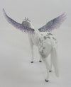 RAPHAEL-LE-5 GREY PINTALOOSA STOCK HORSE CHIP WITH ANGEL WINGS ANGEL WINGS 1/6/20
