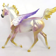 ANGEL WINGS- LE-3 ANGEL WINGS DECORATOR YEARLING BY MELISSA FOX 1/9/20