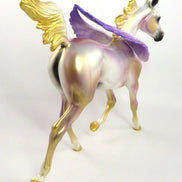 ANGEL WINGS- LE-3 ANGEL WINGS DECORATOR YEARLING BY MELISSA FOX 1/9/20