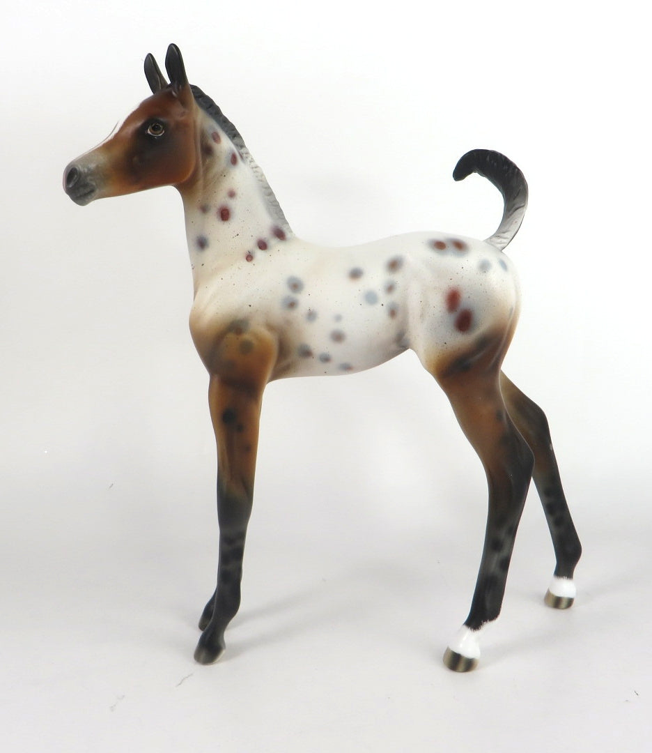 ANNA-OOAK BAY APPALOOSA ARABIAN FOAL MODEL HORSE BY AUDREY DIXON WHS 19