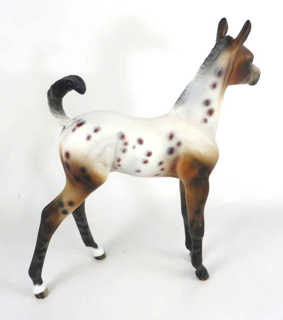 ANNA-OOAK BAY APPALOOSA ARABIAN FOAL MODEL HORSE BY AUDREY DIXON WHS 19