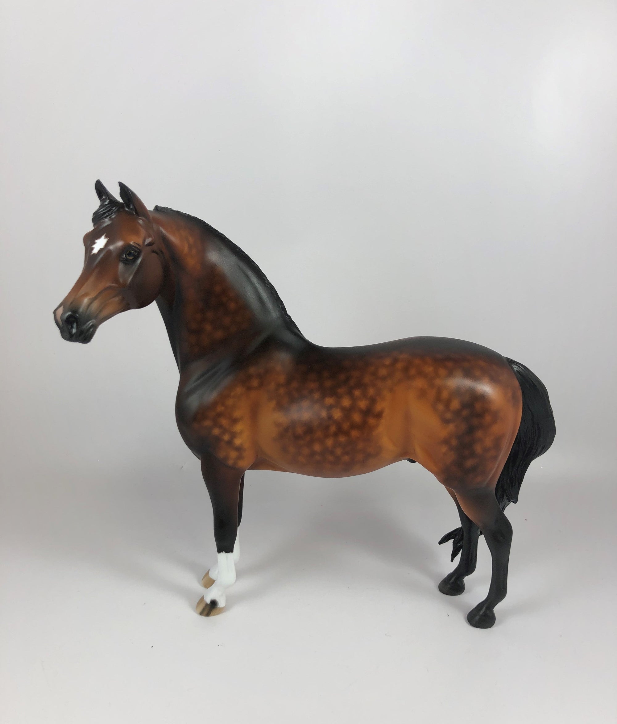 APPLE CRISP-OOAK STAR DAPPLE BAY MORGAN BY SHERYL LEISURE LHS 19