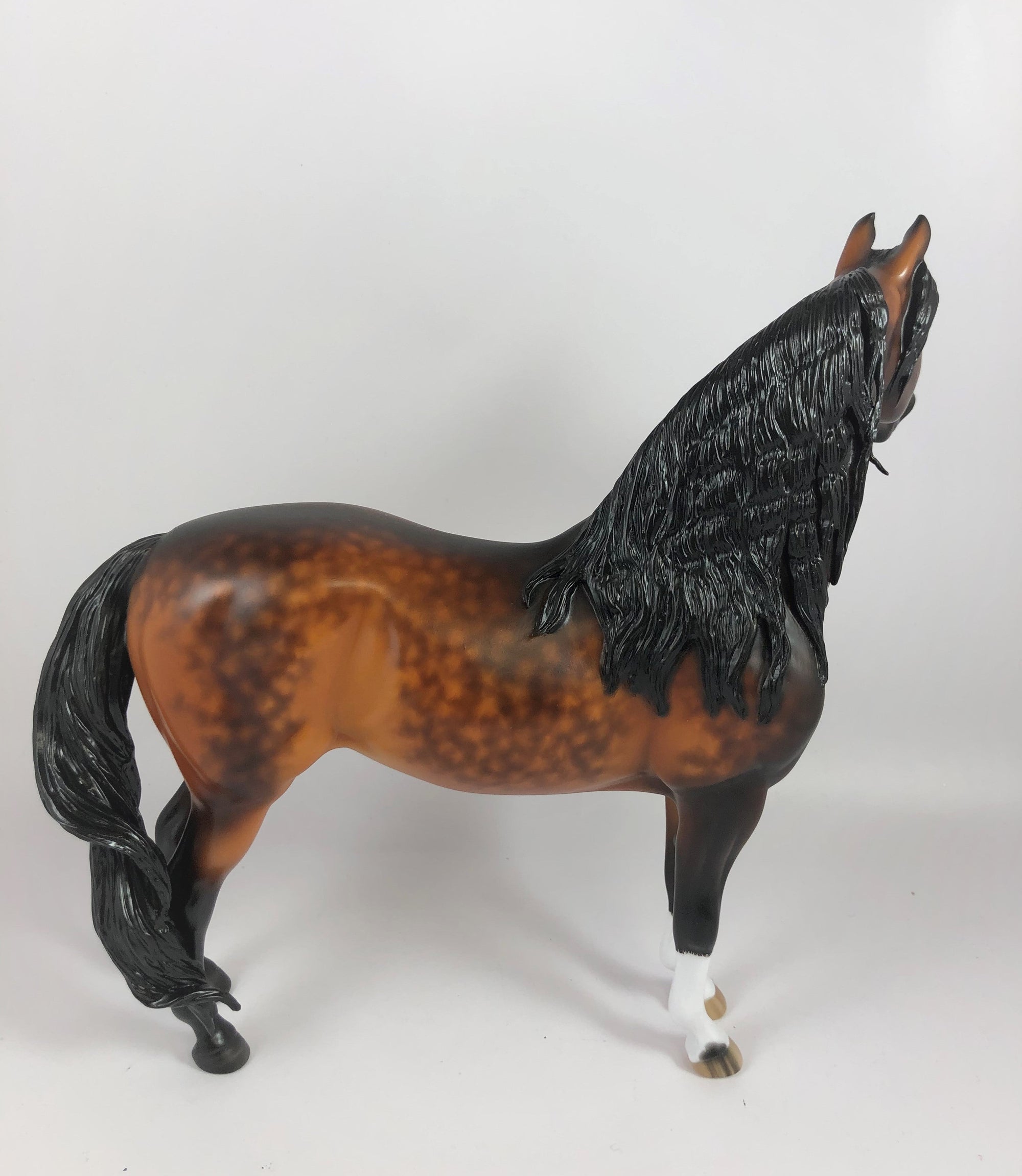 APPLE CRISP-OOAK STAR DAPPLE BAY MORGAN BY SHERYL LEISURE LHS 19