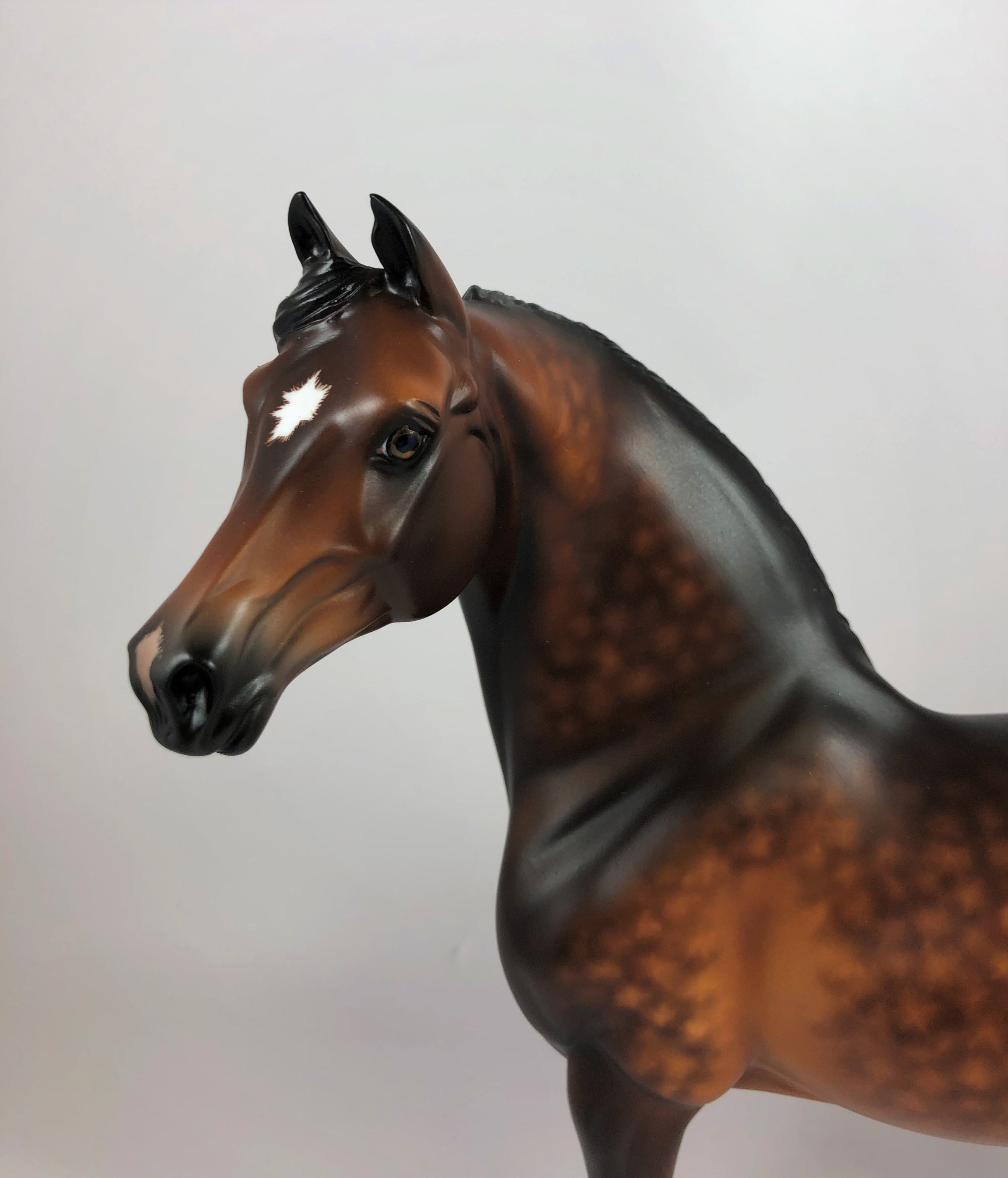 APPLE CRISP-OOAK STAR DAPPLE BAY MORGAN BY SHERYL LEISURE LHS 19