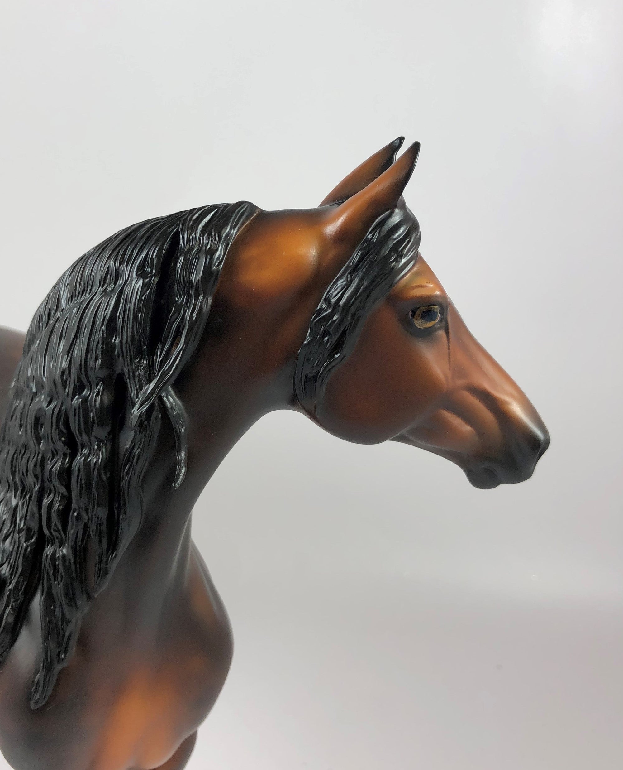 APPLE CRISP-OOAK STAR DAPPLE BAY MORGAN BY SHERYL LEISURE LHS 19