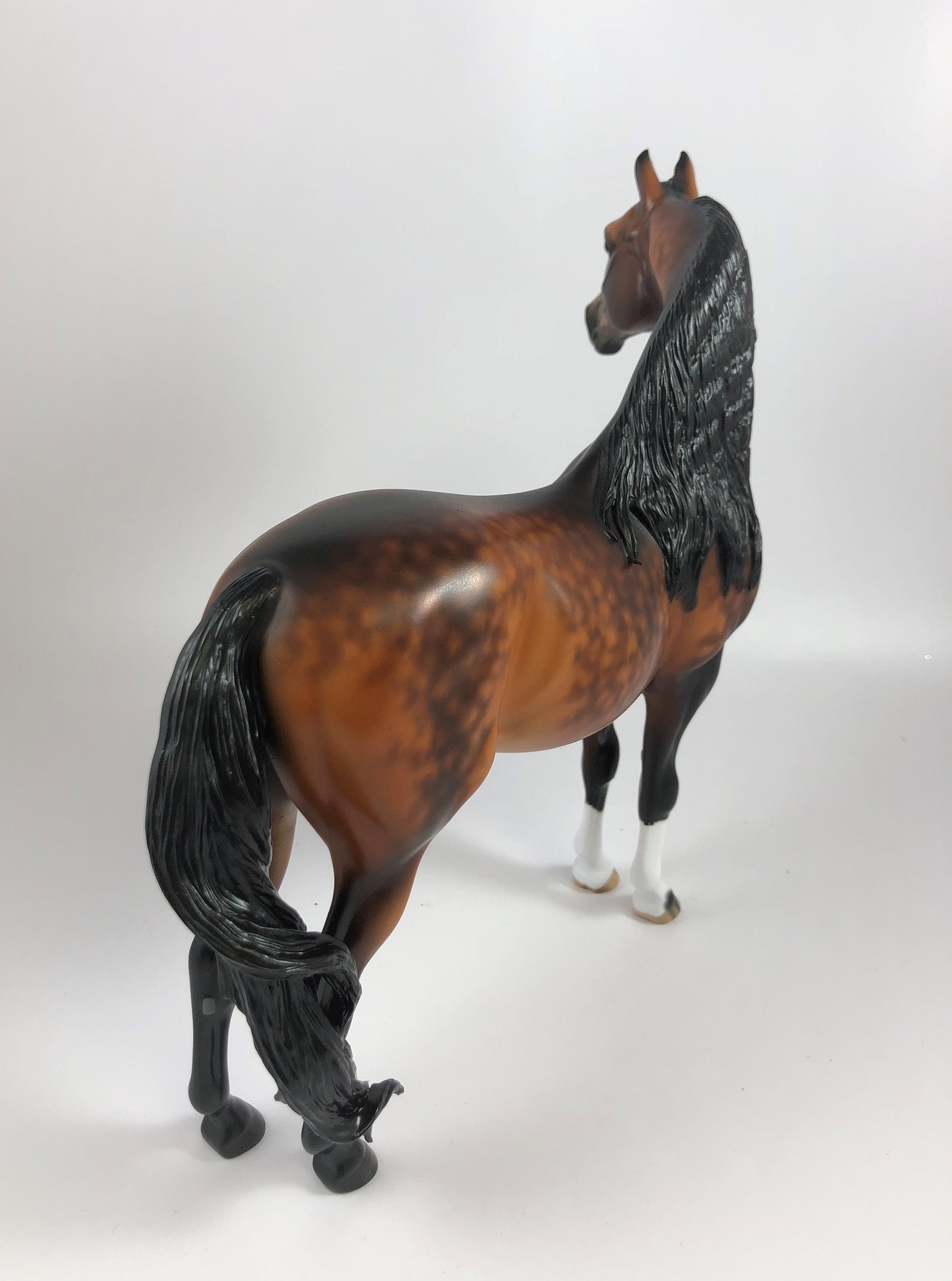 APPLE CRISP-OOAK STAR DAPPLE BAY MORGAN BY SHERYL LEISURE LHS 19