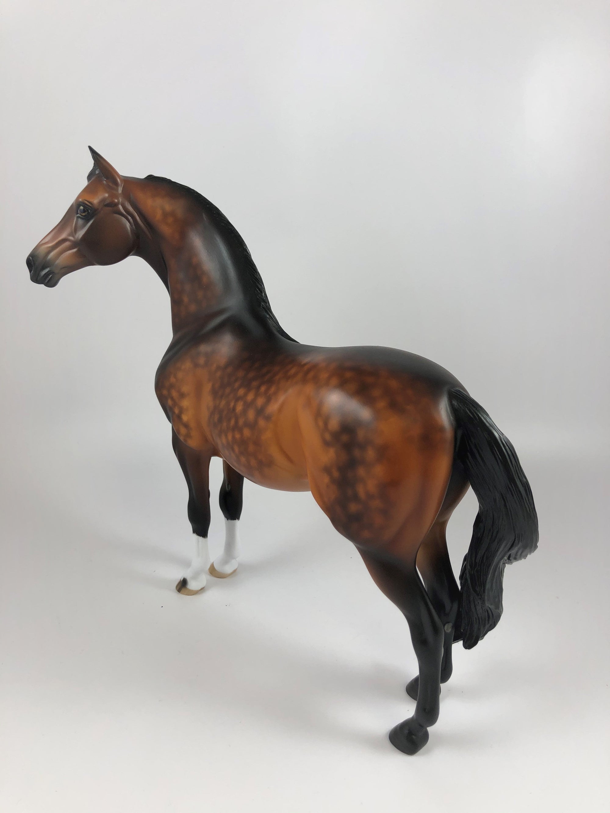 APPLE CRISP-OOAK STAR DAPPLE BAY MORGAN BY SHERYL LEISURE LHS 19