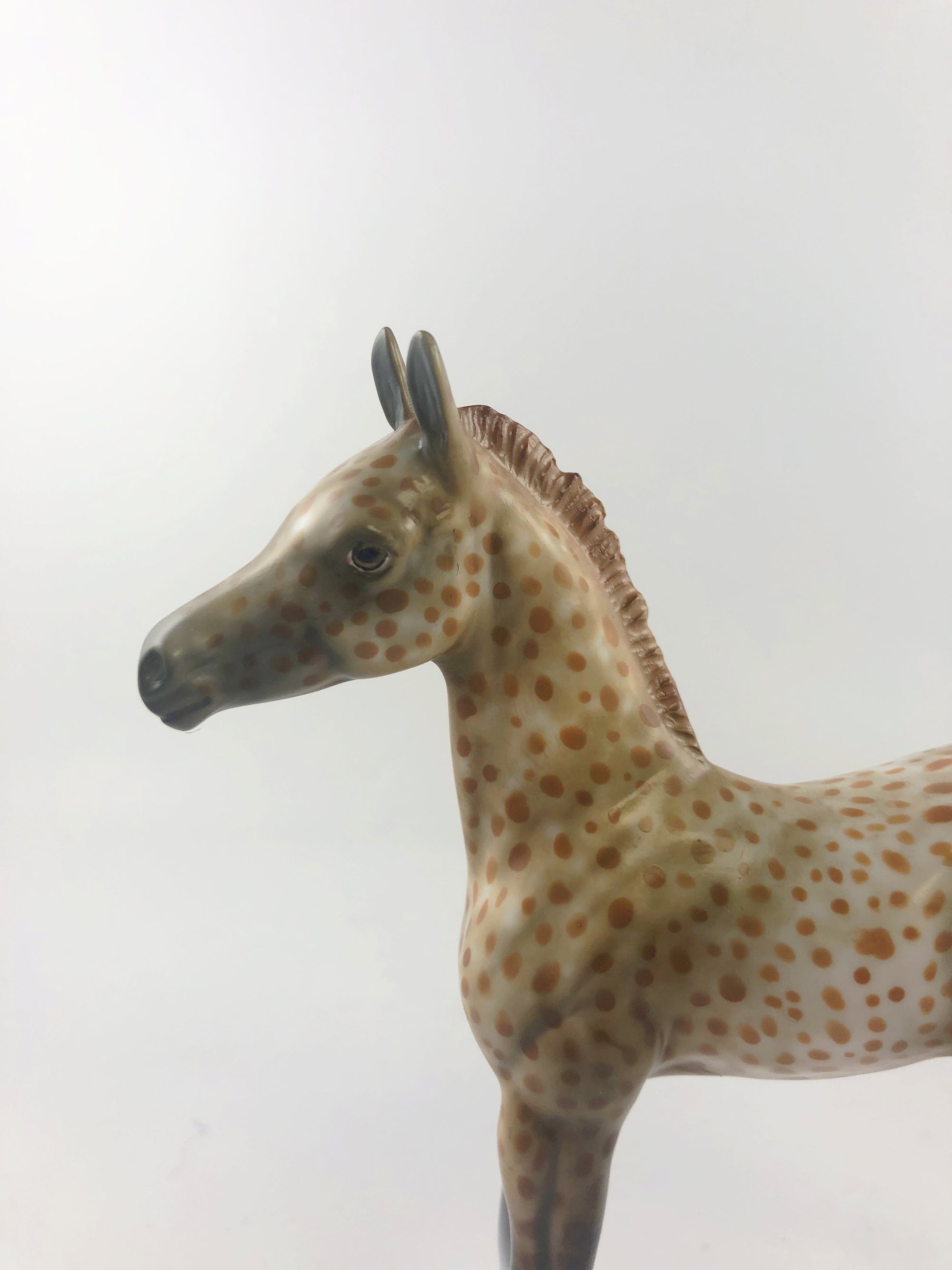 GRIM BRULEE -OOAK CHESTNUT SPOTTED ARABIAN FOAL MODEL HORSE BY AL KATT  MM19