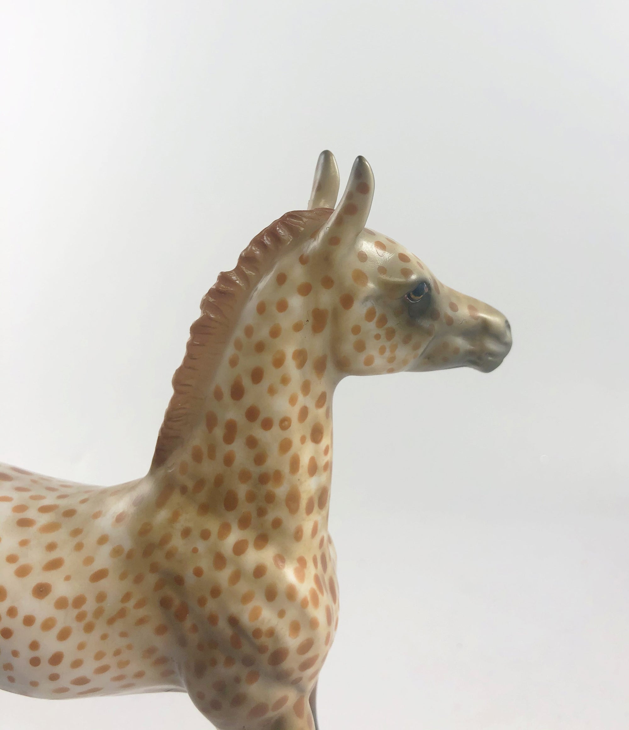 GRIM BRULEE -OOAK CHESTNUT SPOTTED ARABIAN FOAL MODEL HORSE BY AL KATT  MM19