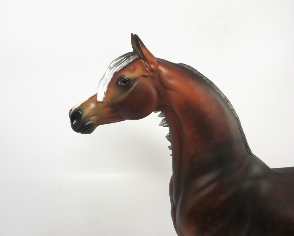 PUNT- OOAK DAPPLED SLIVER BAY ARABIAN BY AUDREY DIXON SB19