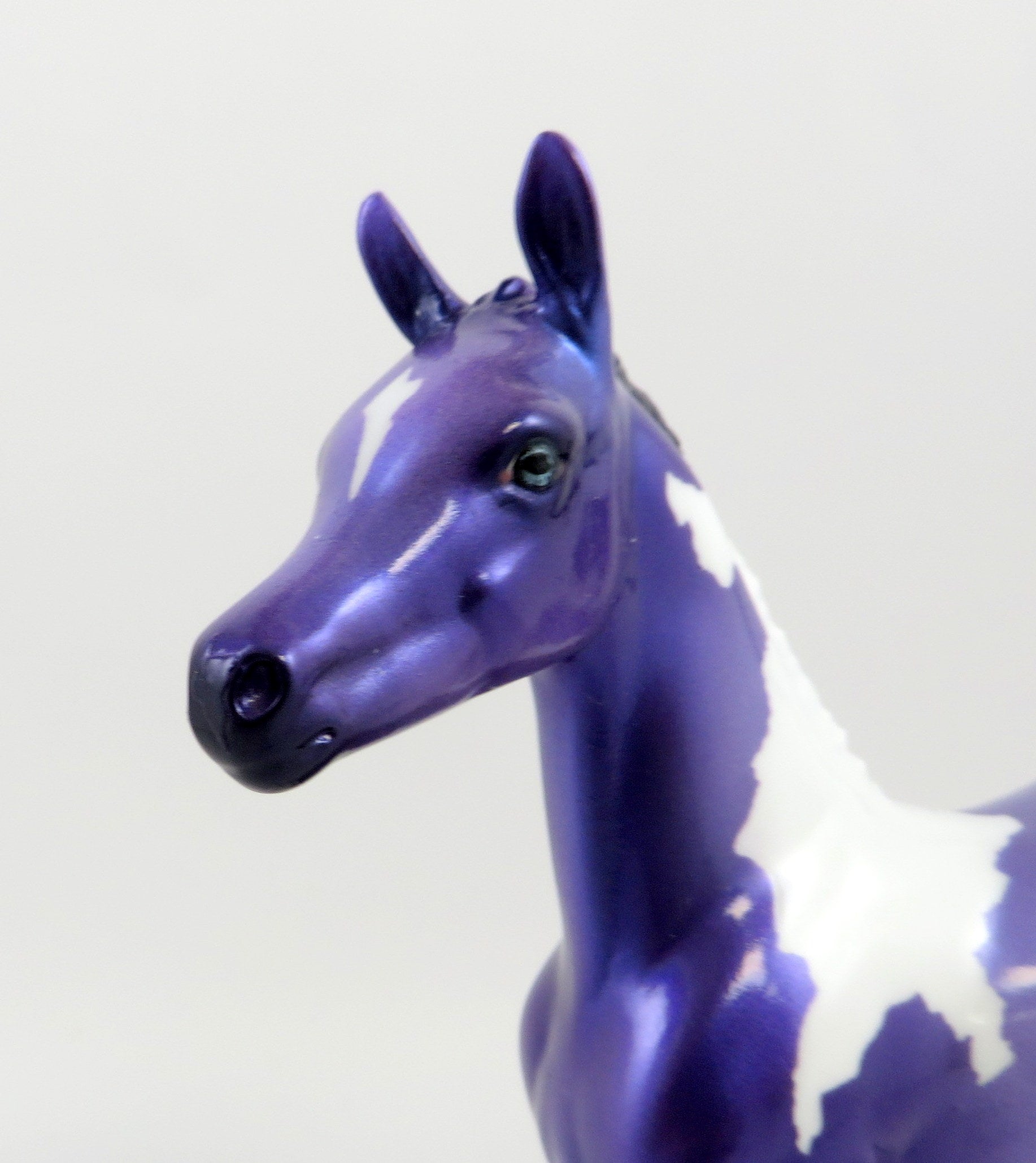AMETHYST ARABIAN FOAL-OOAK MODEL HORSE EQ 19