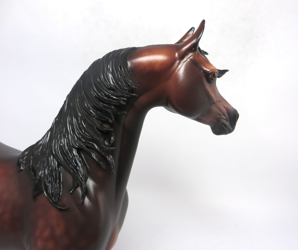 FIREWORKS- OOAK DAPPLED BAY ARABIAN BY SHERYL LEISURE 2-20-19