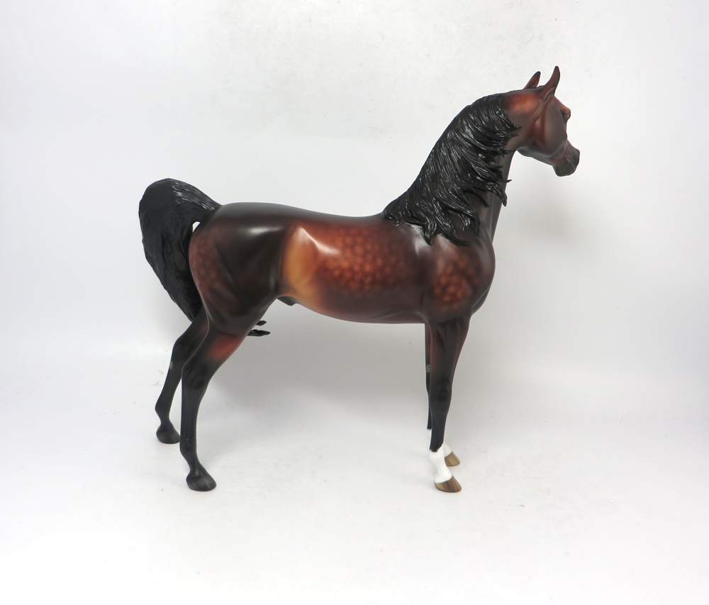 FIREWORKS- OOAK DAPPLED BAY ARABIAN BY SHERYL LEISURE 2-20-19