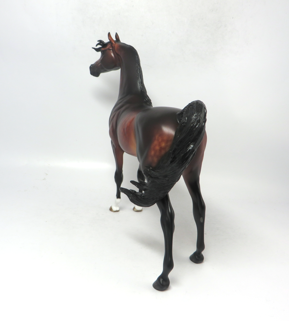 FIREWORKS- OOAK DAPPLED BAY ARABIAN BY SHERYL LEISURE 2-20-19