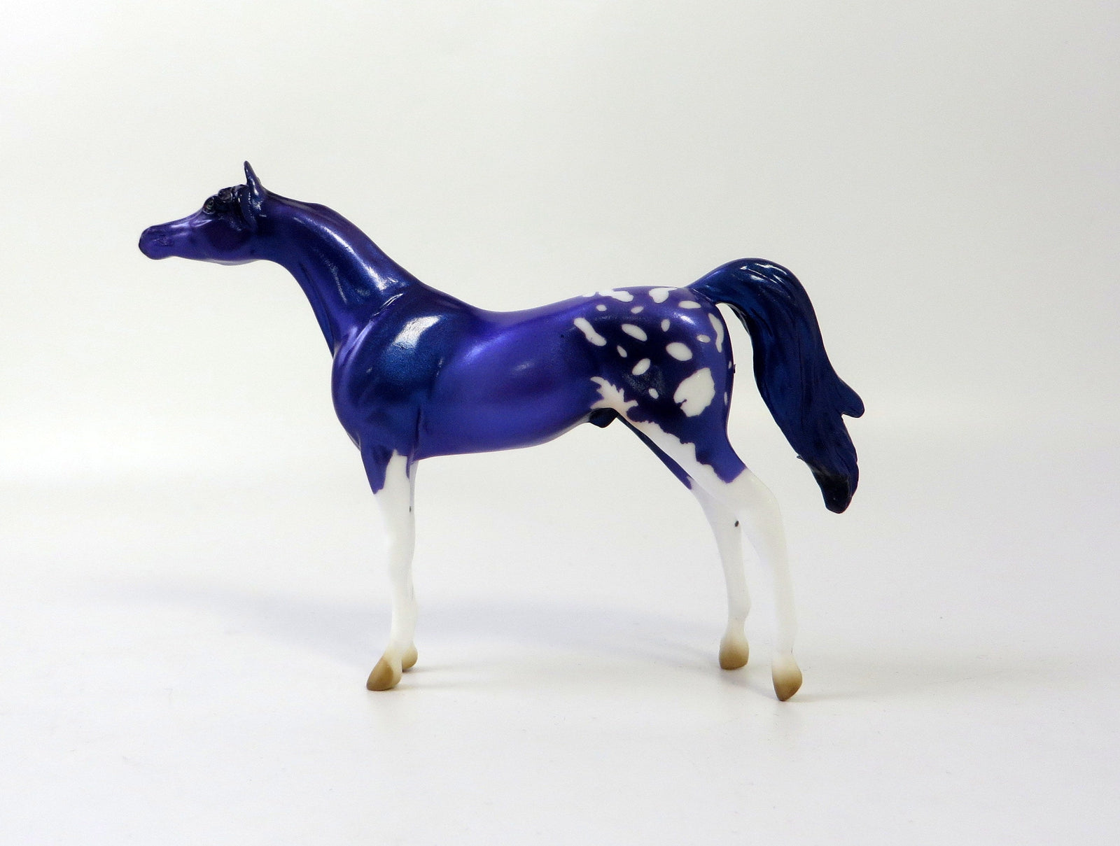 ARABIAN AMETHYST CHIP APPALOOSA MODEL HORSE EQ19