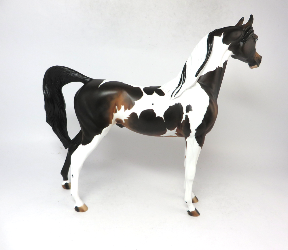 3 POINT STANCE- OOAK BAY TOBIANO ARABIAN SB19
