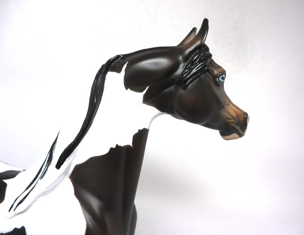 3 POINT STANCE- OOAK BAY TOBIANO ARABIAN SB19