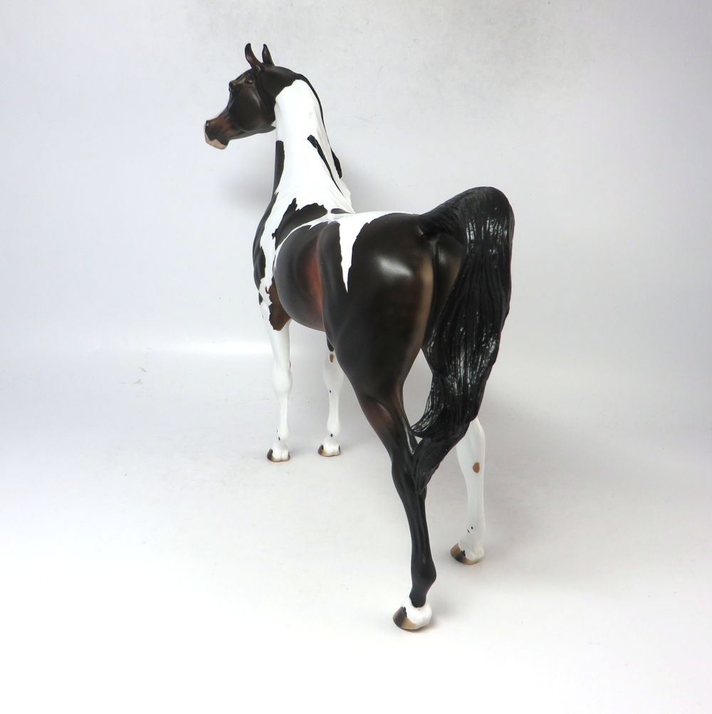3 POINT STANCE- OOAK BAY TOBIANO ARABIAN SB19