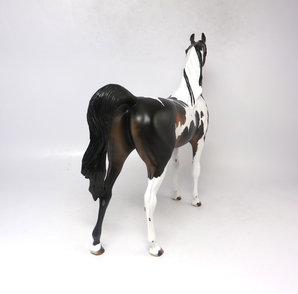 3 POINT STANCE- OOAK BAY TOBIANO ARABIAN SB19