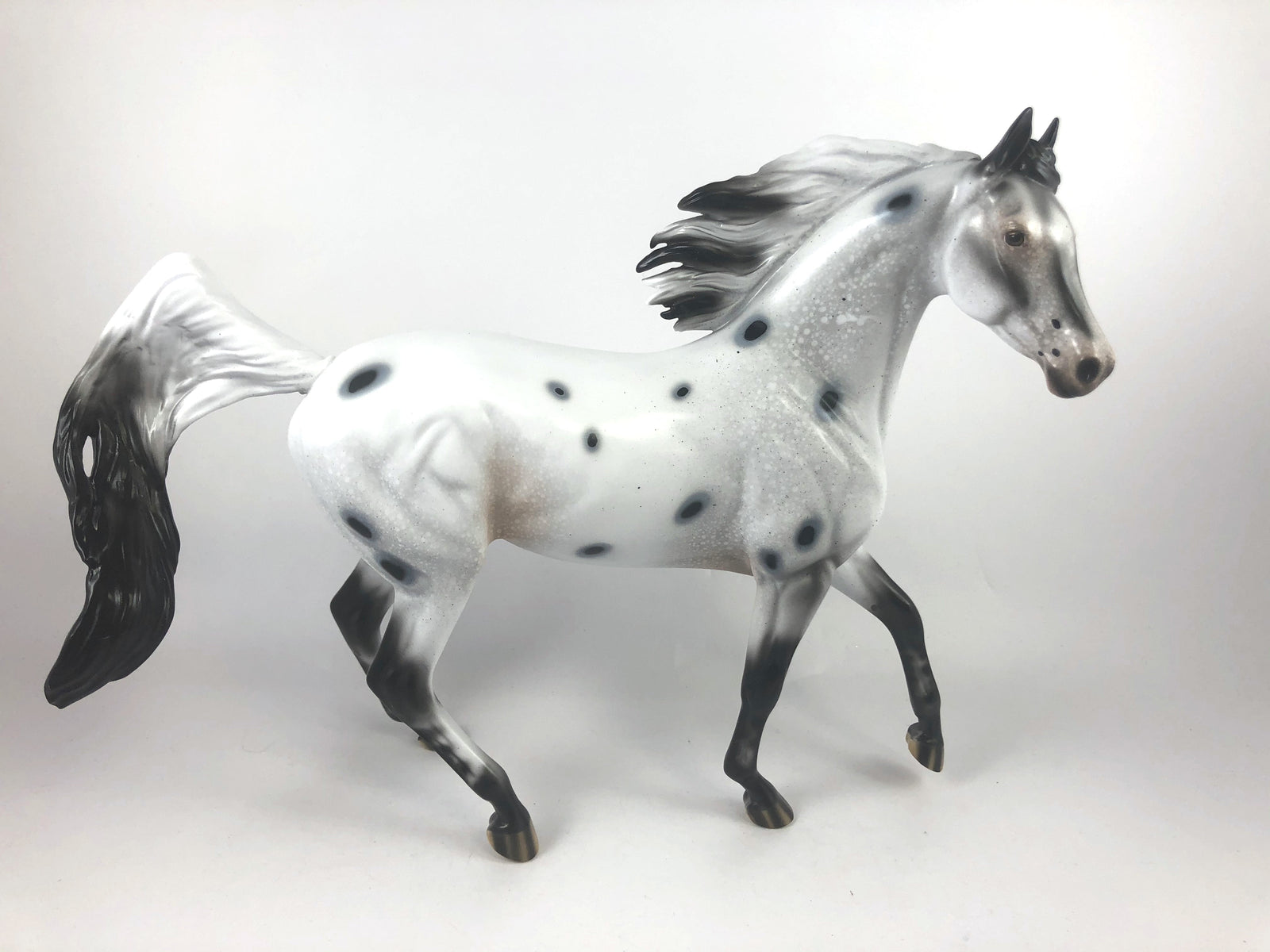 GHOST TRACKS - LE-15 FEW SPOTTED ARABIAN MARE MM 19