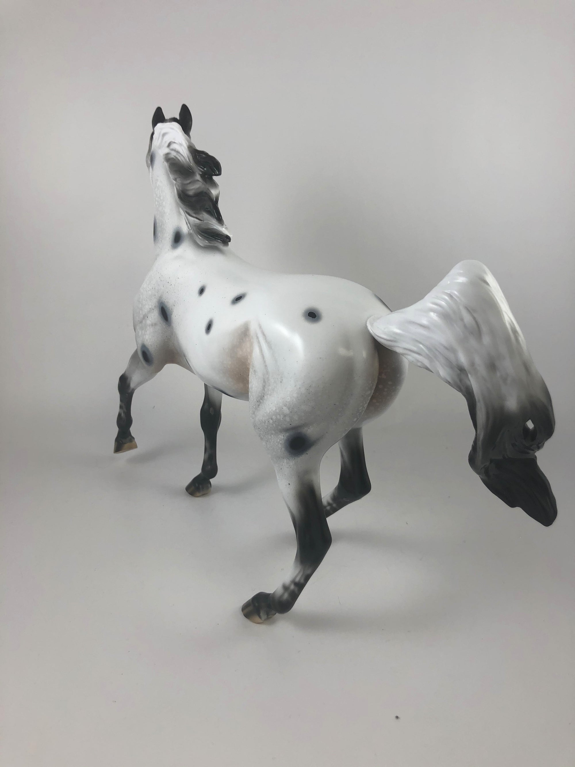 GHOST TRACKS - LE-15 FEW SPOTTED ARABIAN MARE MM 19