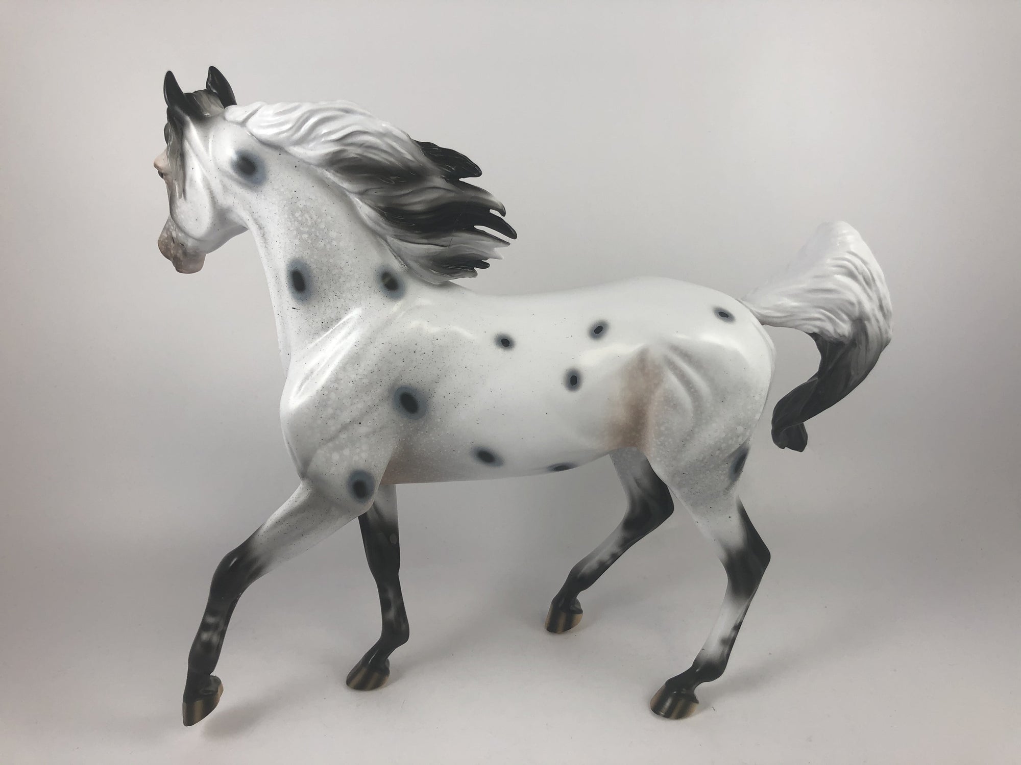 GHOST TRACKS - LE-15 FEW SPOTTED ARABIAN MARE MM 19