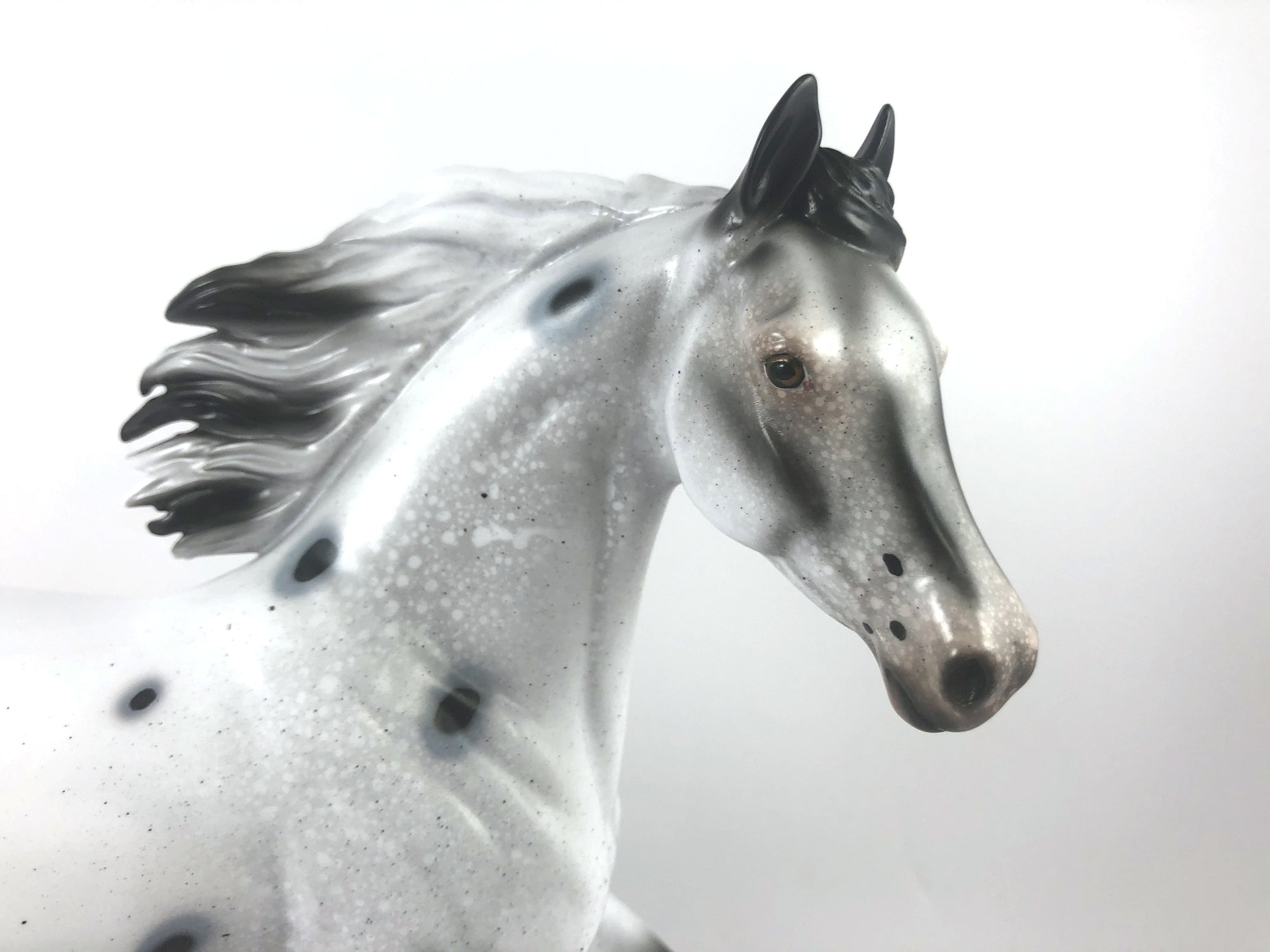 GHOST TRACKS - LE-15 FEW SPOTTED ARABIAN MARE MM 19