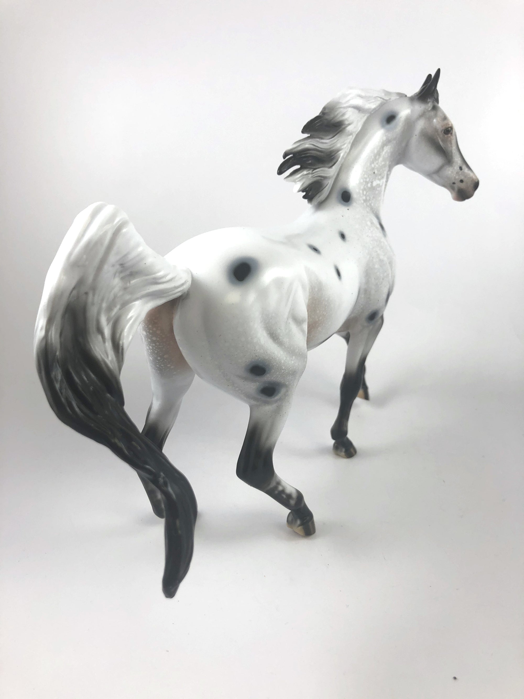 GHOST TRACKS - LE-15 FEW SPOTTED ARABIAN MARE MM 19