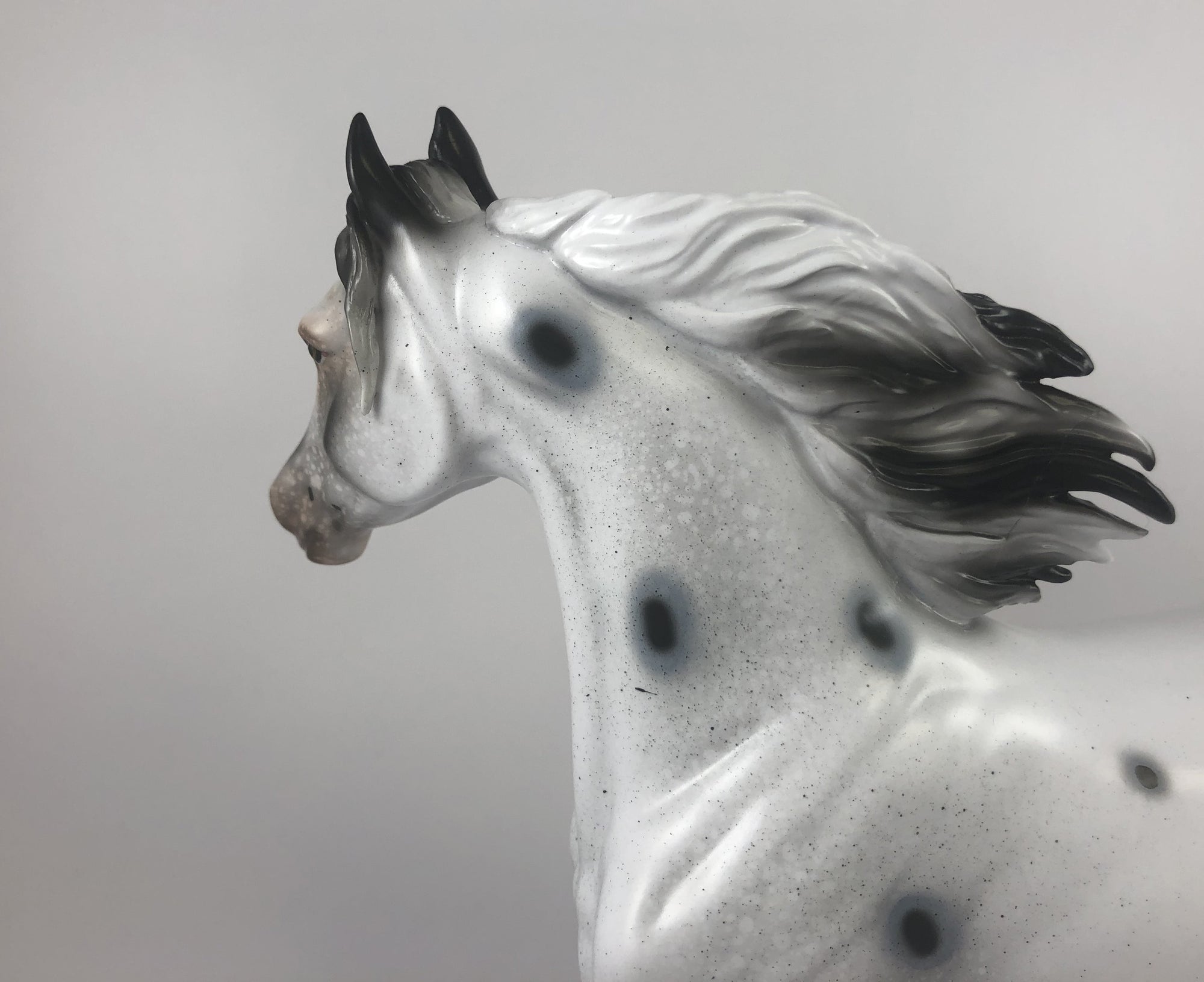 GHOST TRACKS - LE-15 FEW SPOTTED ARABIAN MARE MM 19