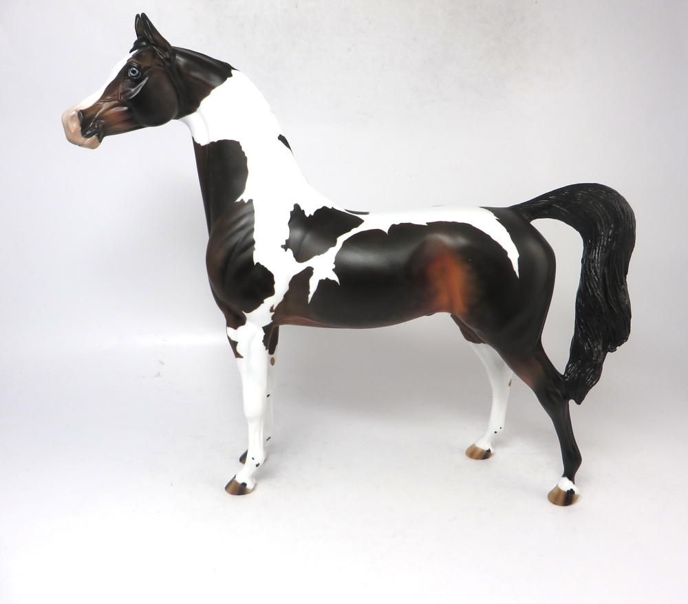 3 POINT STANCE- OOAK BAY TOBIANO ARABIAN SB19