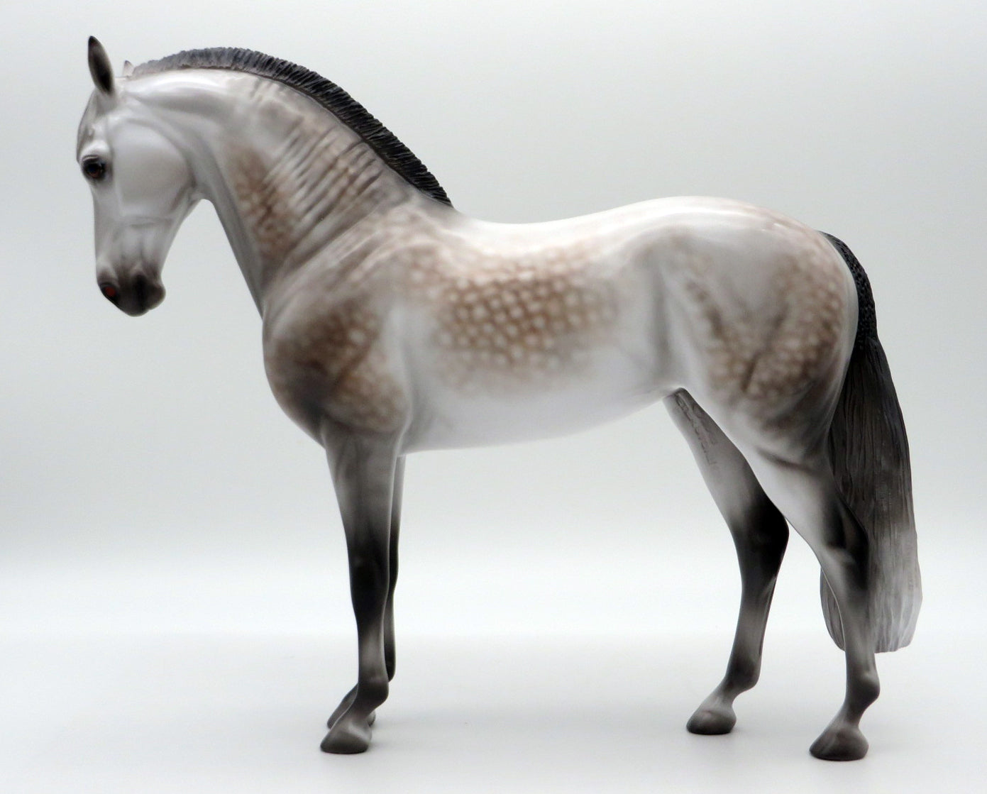 Arcadia-OOAK Dapple Grey Andalusian By Caroline Boydston 10/4/21