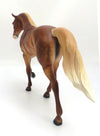 ARCHER-OOAK  SORREL DAPPLE TENNESSEE WALKER BY KAYLA WESSE 3/4/20