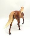 ARCHER-OOAK  SORREL DAPPLE TENNESSEE WALKER BY KAYLA WESSE 3/4/20