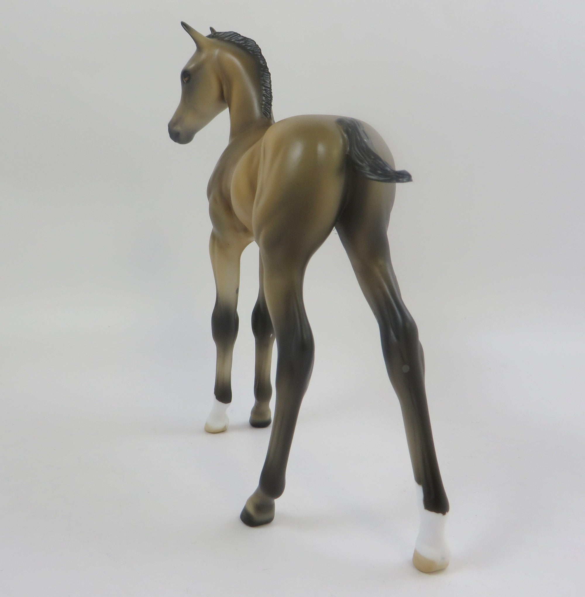 PRINCE ARCHIBALD-LE-10 BUCKSKIN FOAL MODEL HORSE EQ 2019