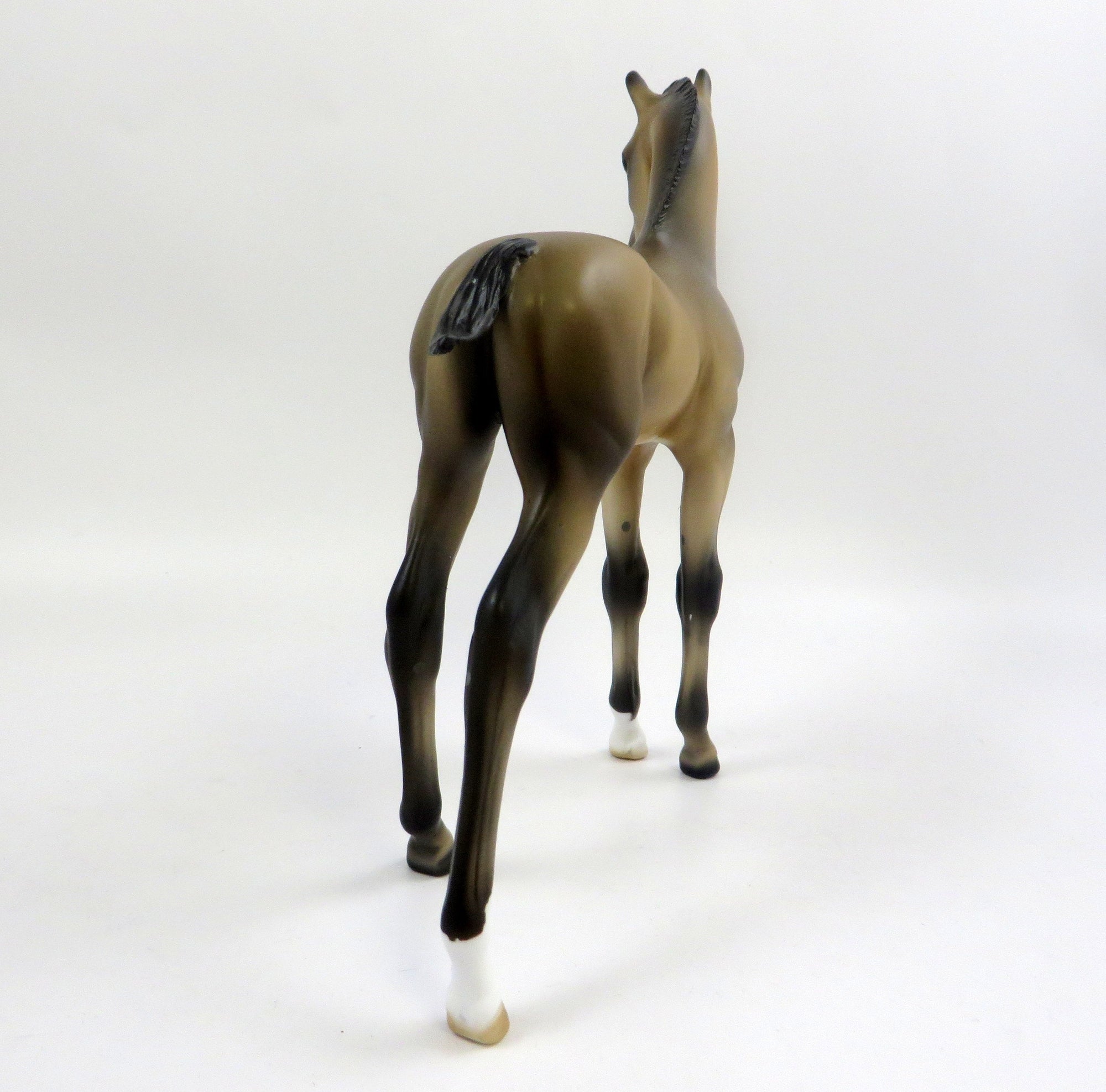 PRINCE ARCHIBALD-LE-10 BUCKSKIN FOAL MODEL HORSE EQ 2019
