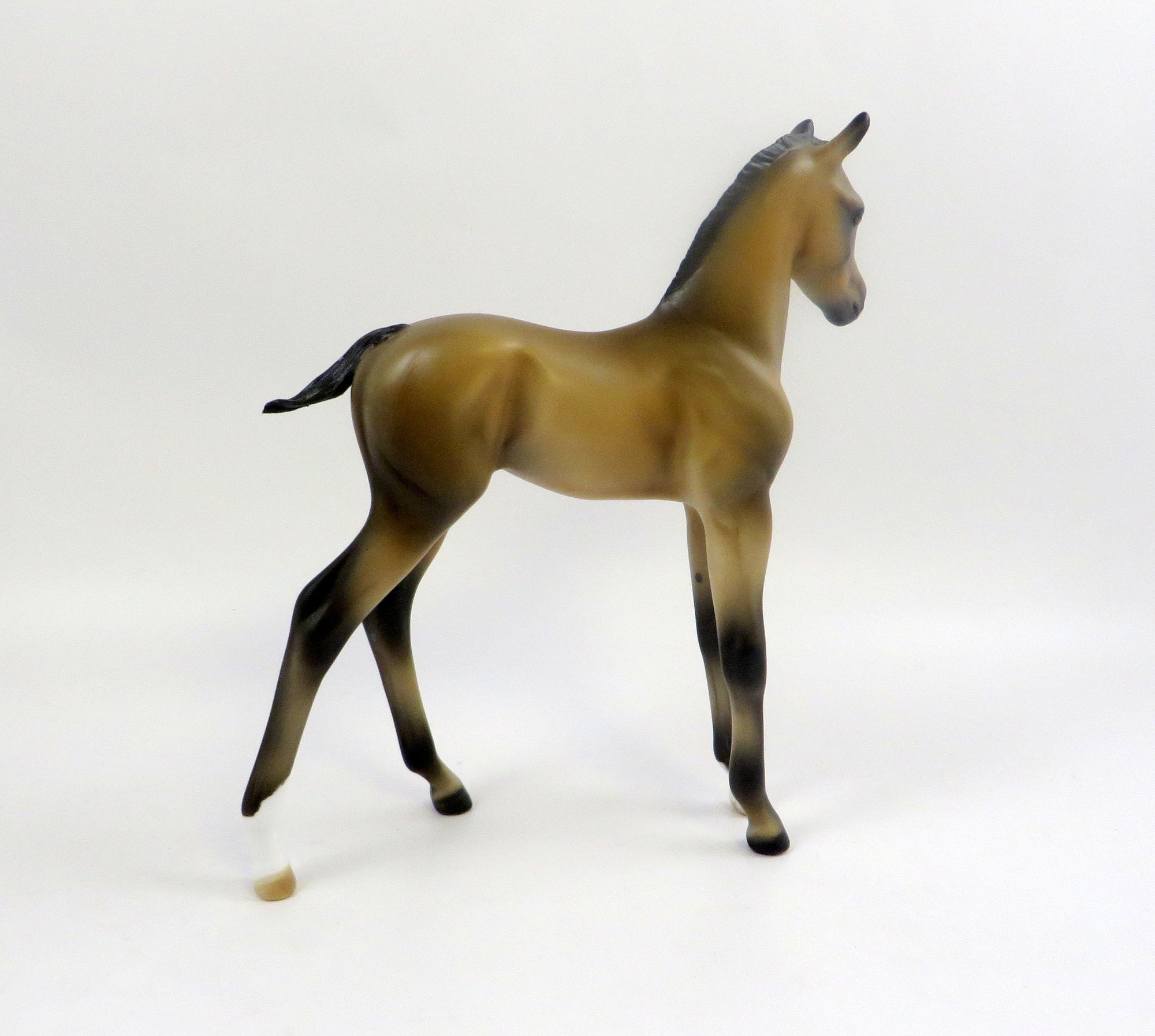 PRINCE ARCHIBALD-LE-10 BUCKSKIN FOAL MODEL HORSE EQ 2019