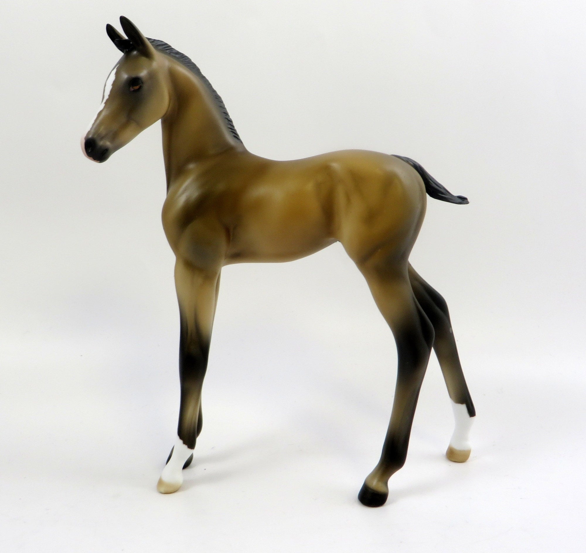 PRINCE ARCHIBALD-LE-10 BUCKSKIN FOAL MODEL HORSE EQ 2019