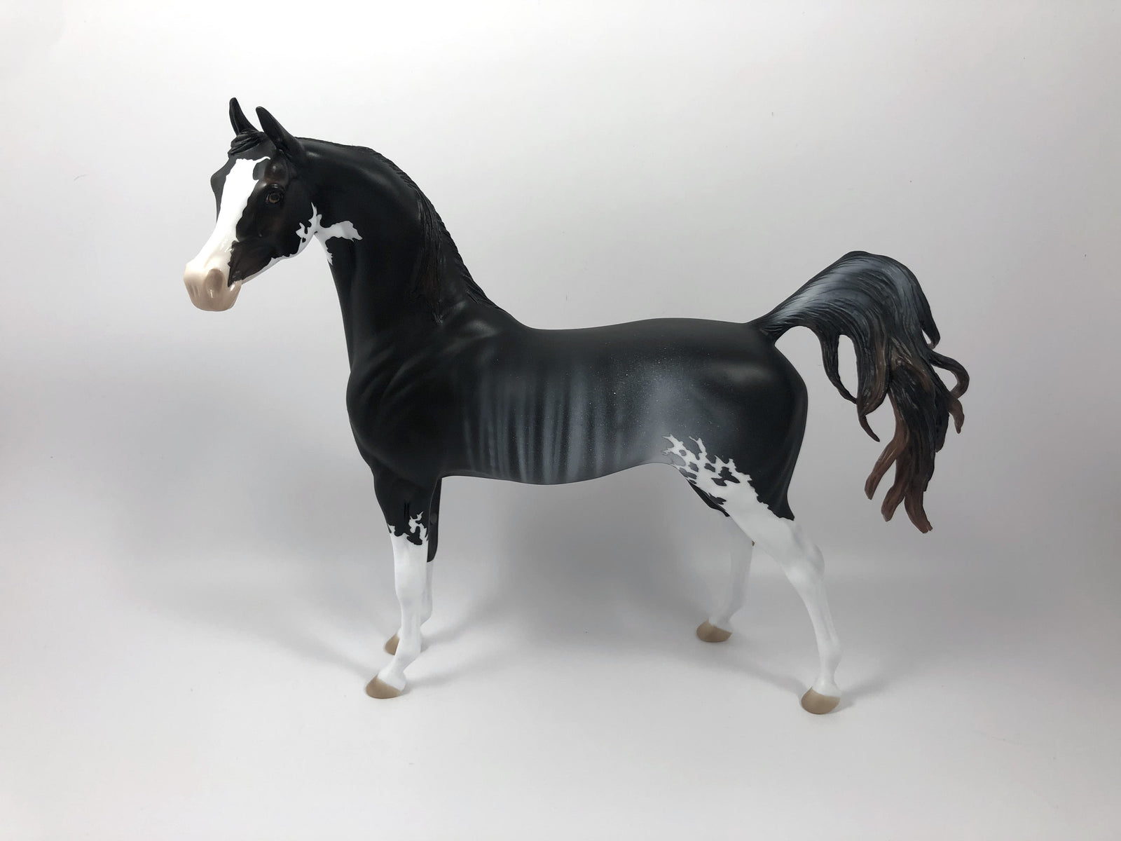 HOUNDSTOOTH-LE-15 ARABIAN CM RABICANO SHCF19